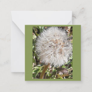 Carte De Correspondance horloge Dandelion