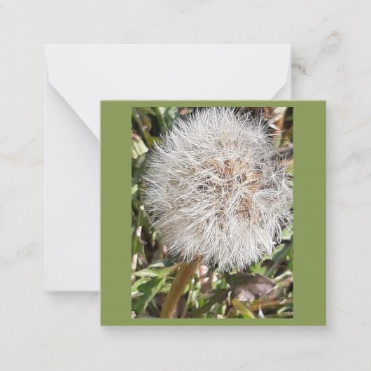 Carte De Correspondance horloge Dandelion (Devant)