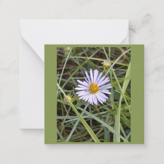 Carte De Correspondance Humble photo de marguerite (Devant)