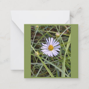Carte De Correspondance Humble photo de marguerite