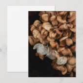 Carte De Correspondance Hydrangea défraîchi (Devant / Derrière)