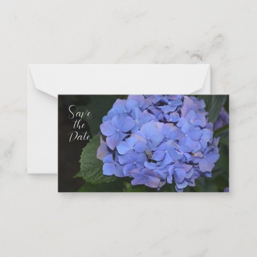 Carte De Correspondance Hydrangea macrophylla violette rustique (Devant)