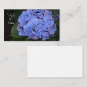 Carte De Correspondance Hydrangea macrophylla violette rustique (Devant / Derrière)