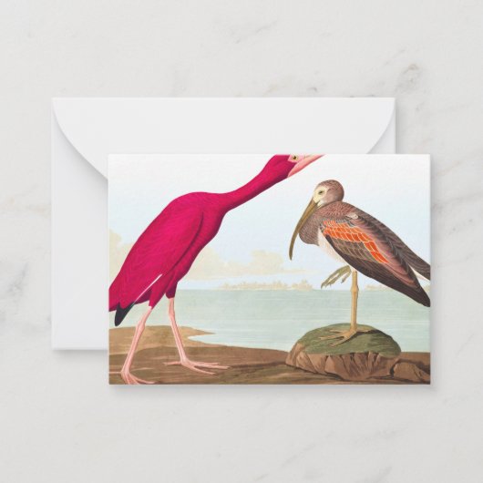 Carte De Correspondance Ibis de Scarlet par John James Audubon (Devant)