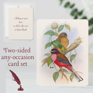 Carte De Correspondance Illustration Vintage colorée d'oiseaux Chaque occa