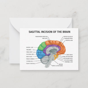 Carte De Correspondance Incision sagitale du cerveau