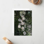 Carte De Correspondance Inhabituel tandis que Clematis (Devant/Arrière en situation)