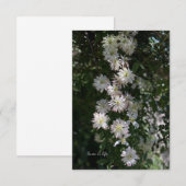 Carte De Correspondance Inhabituel tandis que Clematis (Devant / Derrière)