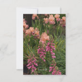 Carte De Correspondance Iris De Pêche, Foxglove Rose (Devant)