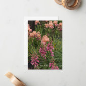 Carte De Correspondance Iris De Pêche, Foxglove Rose (Devant/Arrière en situation)