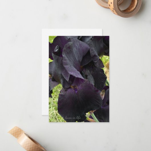 Carte De Correspondance Iris noir (Devant/Arrière en situation)