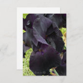 Carte De Correspondance Iris noir (Devant / Derrière)