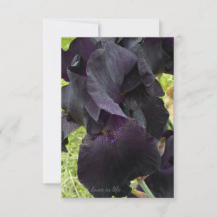 Carte De Correspondance Iris noir