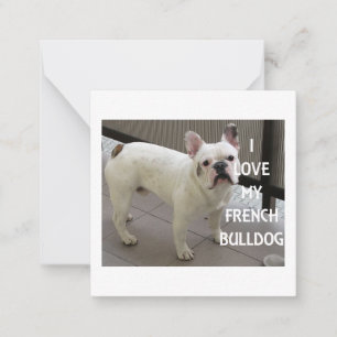 Carte De Correspondance J'Aime Mon Chien À Balle Français