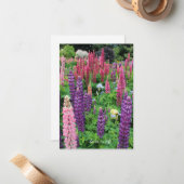 Carte De Correspondance Jardin Lupine (Devant/Arrière en situation)