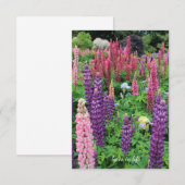 Carte De Correspondance Jardin Lupine (Devant / Derrière)