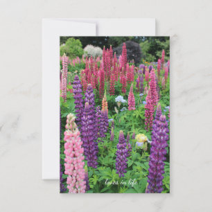 Carte De Correspondance Jardin Lupine