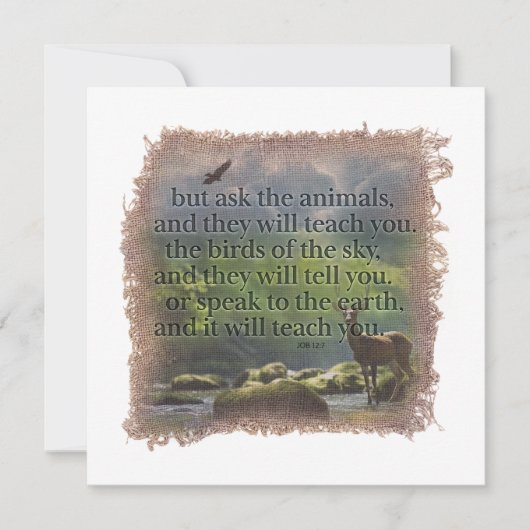 Carte De Correspondance JOB 12:7 - Personalized Notecard (Devant)