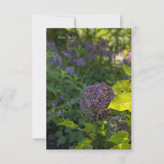 Carte De Correspondance Joli Allium (Devant)