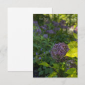 Carte De Correspondance Joli Allium (Devant / Derrière)