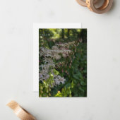 Carte De Correspondance Joli jardin (Devant/Arrière en situation)