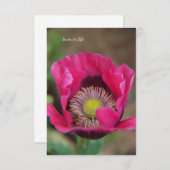 Carte De Correspondance Joli Poppy rose (Devant / Derrière)