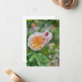 Carte De Correspondance Joli Rose (Devant/Arrière en situation)