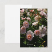 Carte De Correspondance Joli Roses rose pâle (Devant / Derrière)