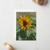 Carte De Correspondance Joli tournesol (Devant/Arrière en situation)