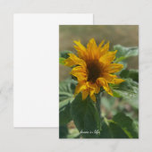 Carte De Correspondance Joli tournesol (Devant / Derrière)