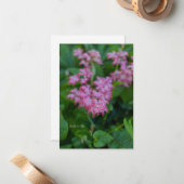 Carte De Correspondance Jolie Fleur De Jardin Rose (Devant/Arrière en situation)