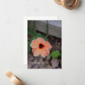 Carte De Correspondance Jolie Fleur Jardin De Pêche (Devant/Arrière en situation)