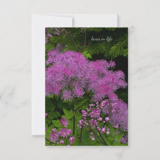 Carte De Correspondance Jolies fleurs violettes (Devant)