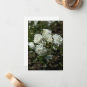 Carte De Correspondance Jolies roses blanches (Devant/Arrière en situation)