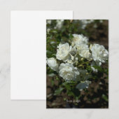 Carte De Correspondance Jolies roses blanches (Devant / Derrière)