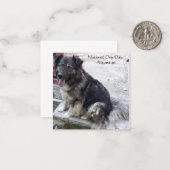 Carte De Correspondance Journée nationale des chiens (Devant/Arrière en situation)