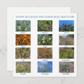 Carte De Correspondance Joyeuses Fêtes et Bonne Année ! (Devant / Derrière)