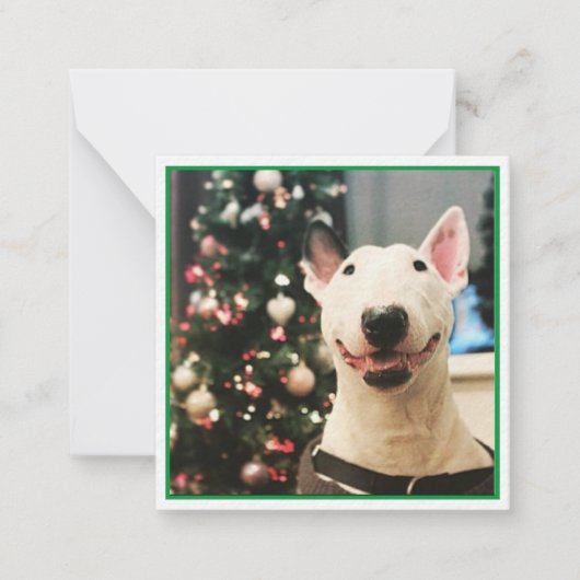 Carte De Correspondance Joyeux Noël Smiling Bull Terrier (Devant)