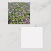 Carte De Correspondance Juillet (Devant / Derrière)