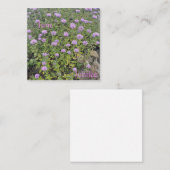 Carte De Correspondance Juillet (Devant / Derrière)