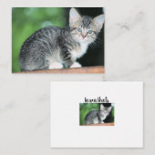 Carte De Correspondance Kitten (Devant / Derrière)