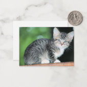 Carte De Correspondance Kitten (Devant/Arrière en situation)