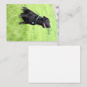 Carte De Correspondance Labrador noir assis (Devant / Derrière)