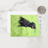 Carte De Correspondance labrador noir LR assis (Devant/Arrière en situation)