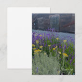 Carte De Correspondance Lavande et Santolina Plantes (Devant / Derrière)