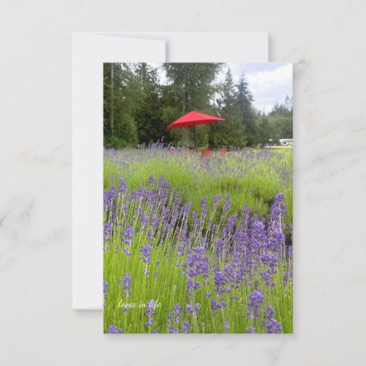 Carte De Correspondance Lavande violette, Parapluie rouge (Devant)