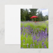 Carte De Correspondance Lavande violette, Parapluie rouge (Devant / Derrière)