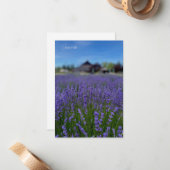 Carte De Correspondance Lavender Field & Grange (Devant/Arrière en situation)