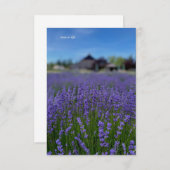 Carte De Correspondance Lavender Field & Grange (Devant / Derrière)