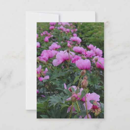 Carte De Correspondance Lavender Peonies (Devant)